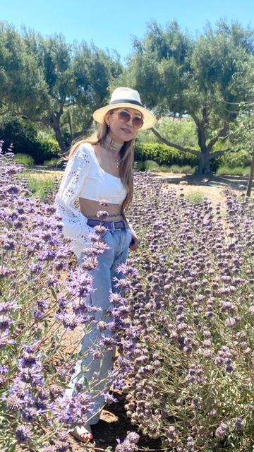 Picture from the lavender farm