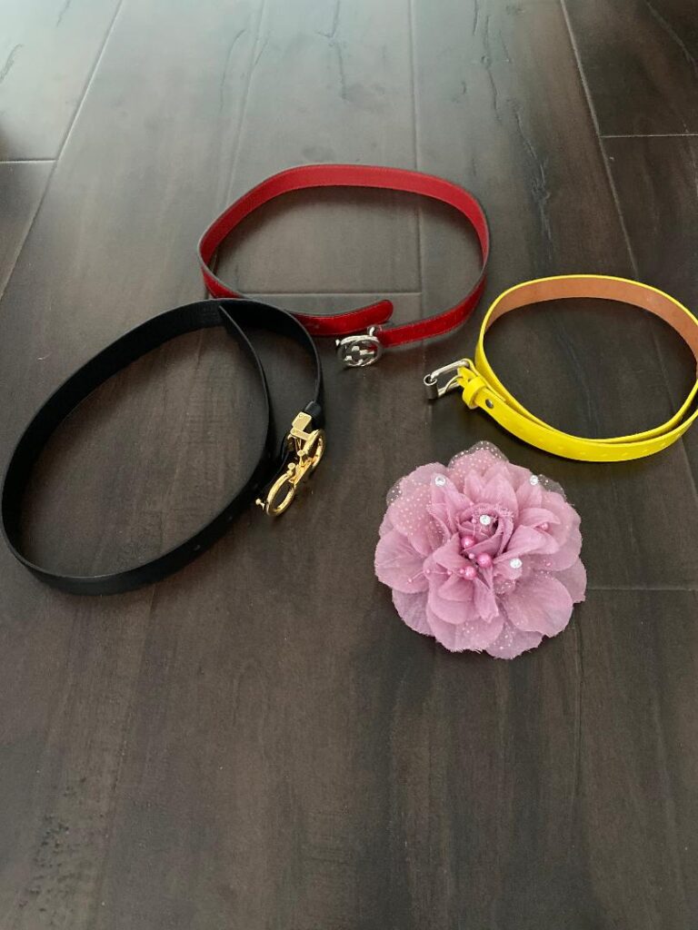 My favorite accessories I wear all the time now belt sample
